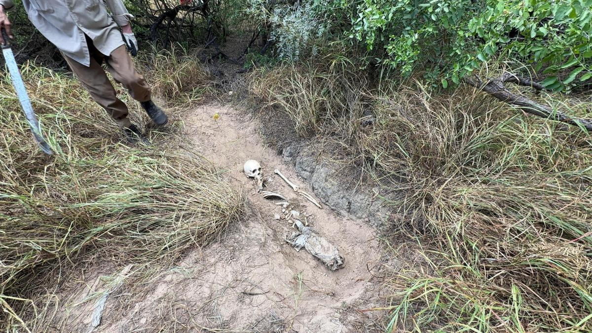 Colectivo localiza siete cuerpos en fosas clandestinas cerca del muro fronterizo Colectivo localiza siete cuerpos en fosas clandestinas cerca del muro fronterizo