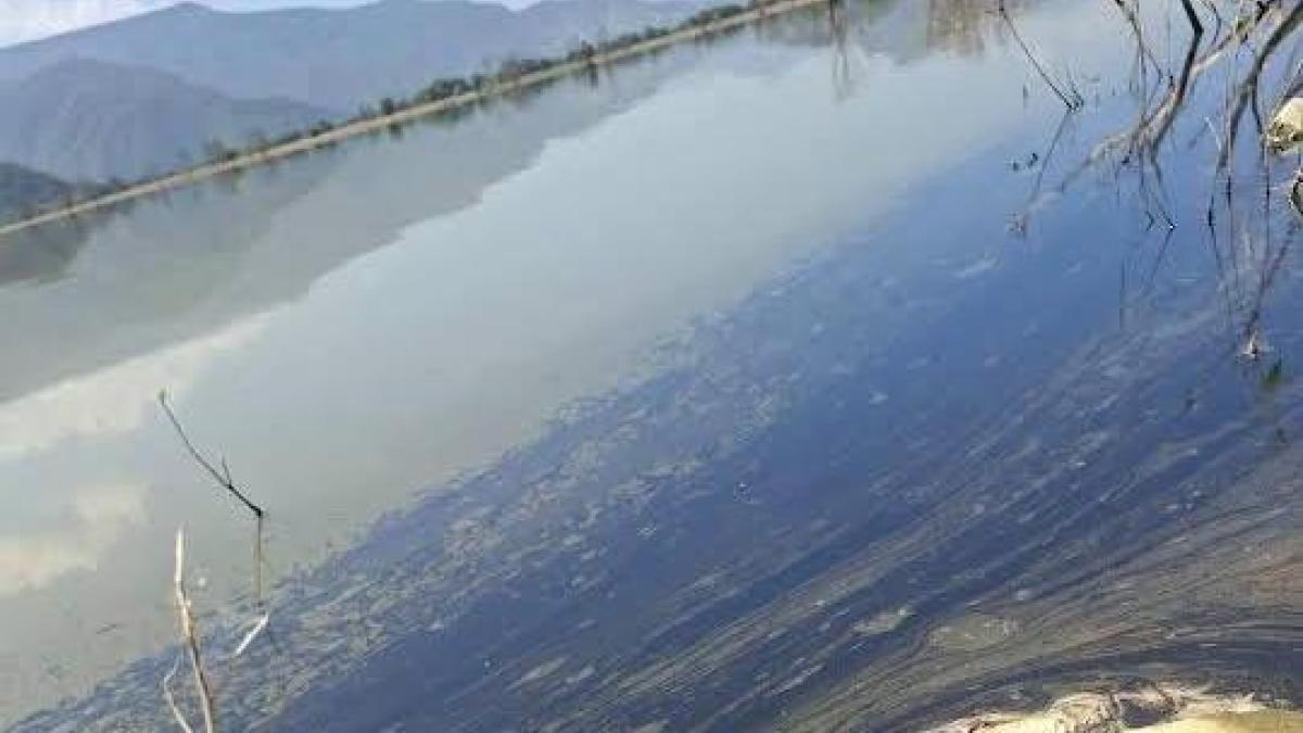 Alerta derrame de diésel en laguna de Hidalgo tras volcadura de tráiler