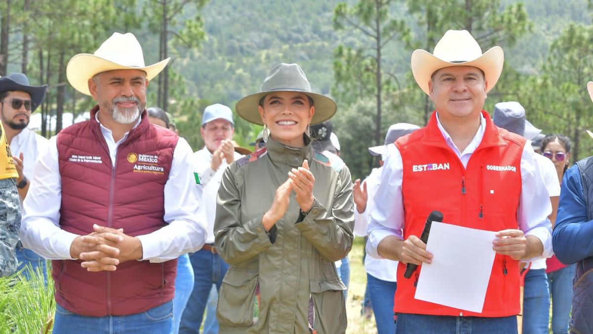 Durango da el primer paso para reverdecer México con histórica jornada de reforestación