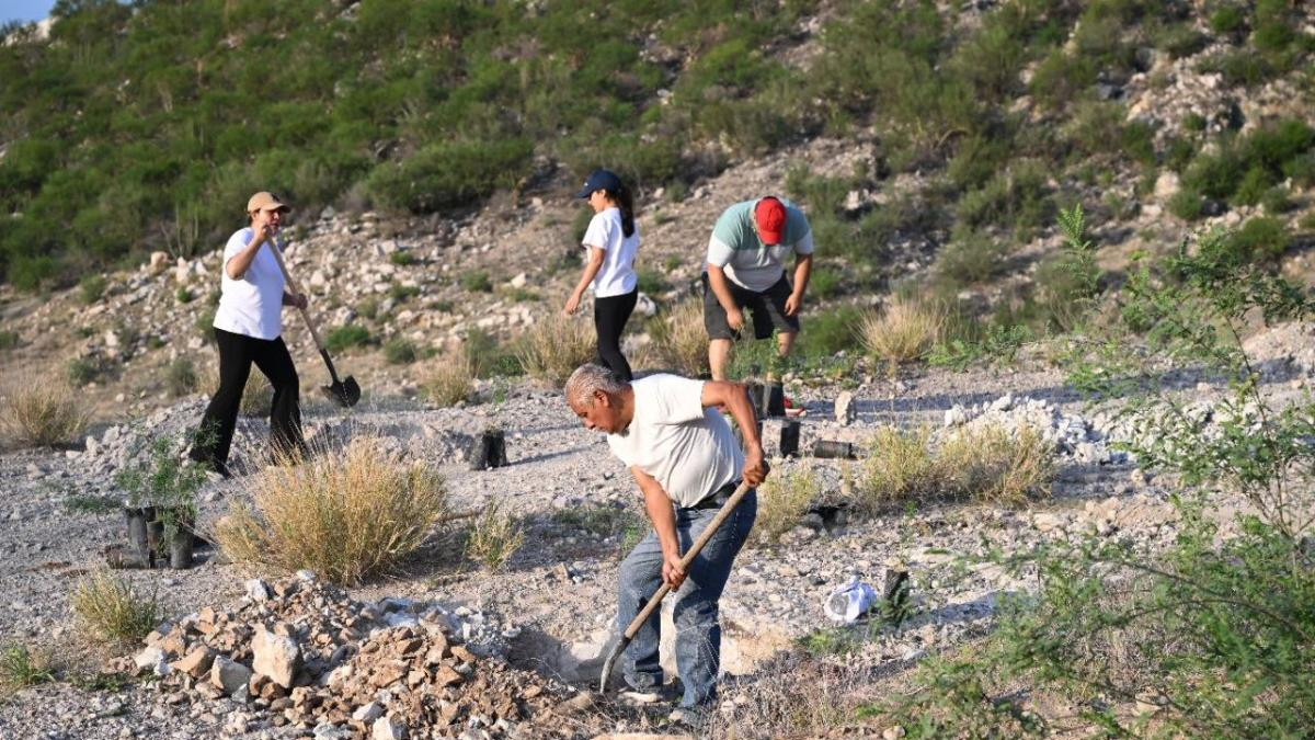 Sonora suma más de 13 mil plantas nativas a la Jornada Nacional de Reforestación