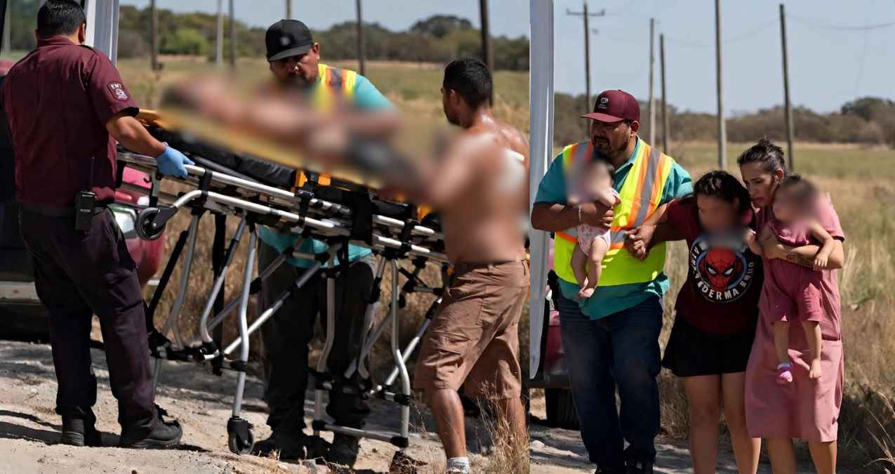Enjambre de abejas ataca a una familia en Río Bravo, Tamaulipas; hay un hombre grave
