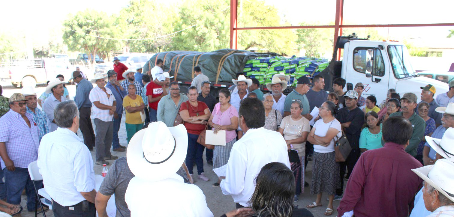 Se fortalece sector rural con entrega de semilla de sorgo y maíz Se fortalece sector rural con entrega de semilla de sorgo y maíz