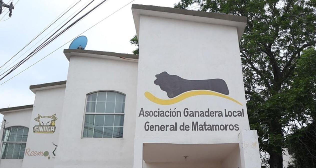 Productores de Matamoros, Tamaulipas, mantienen trámites ganaderos gratuitos