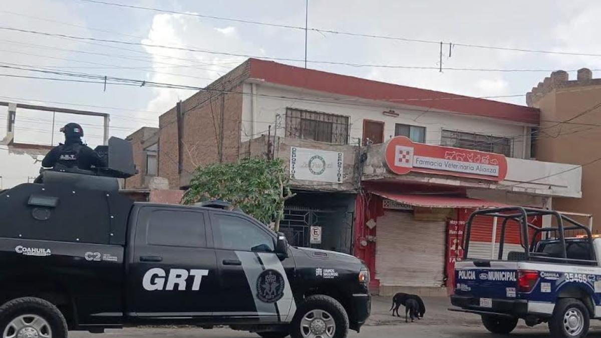 Buscan a pantera que salió a pasear en calles de Torreón, Coahuila Buscan a pantera que salió a pasear en calles de Torreón, Coahuila