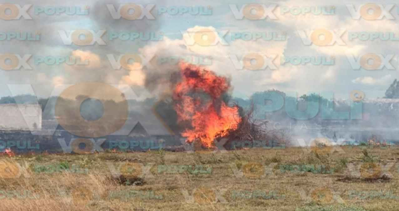 Fuego acaba con caja de tráiler al intentar ahuyentar enjambre de abejas en Cd. Victoria, Tamaulipas