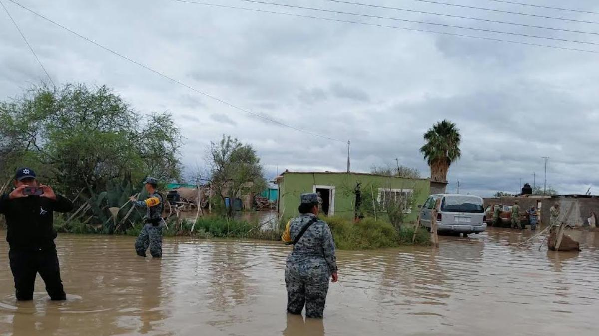 Defensa implementa Plan DN-III-E en la Comarca Lagunera por intensas lluvias