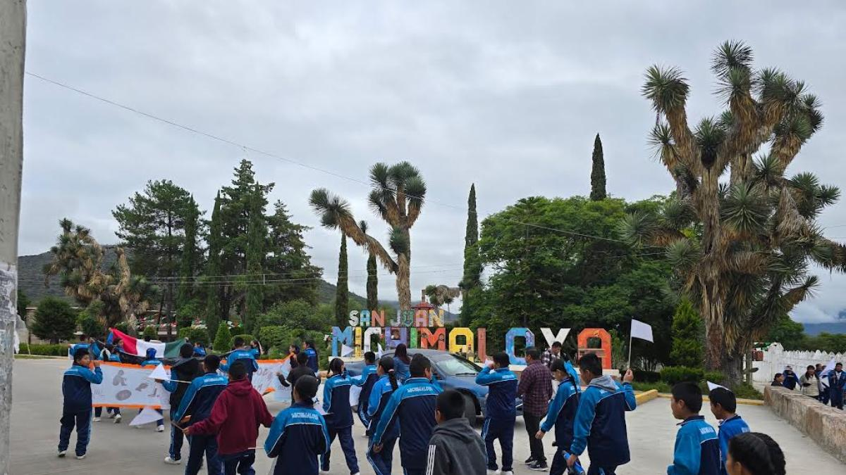 Marchan alumnos de Telesecundaria en Hidalgo para exigir atención a plaga de moscos Marchan alumnos de Telesecundaria en Hidalgo para exigir atención a plaga de moscos