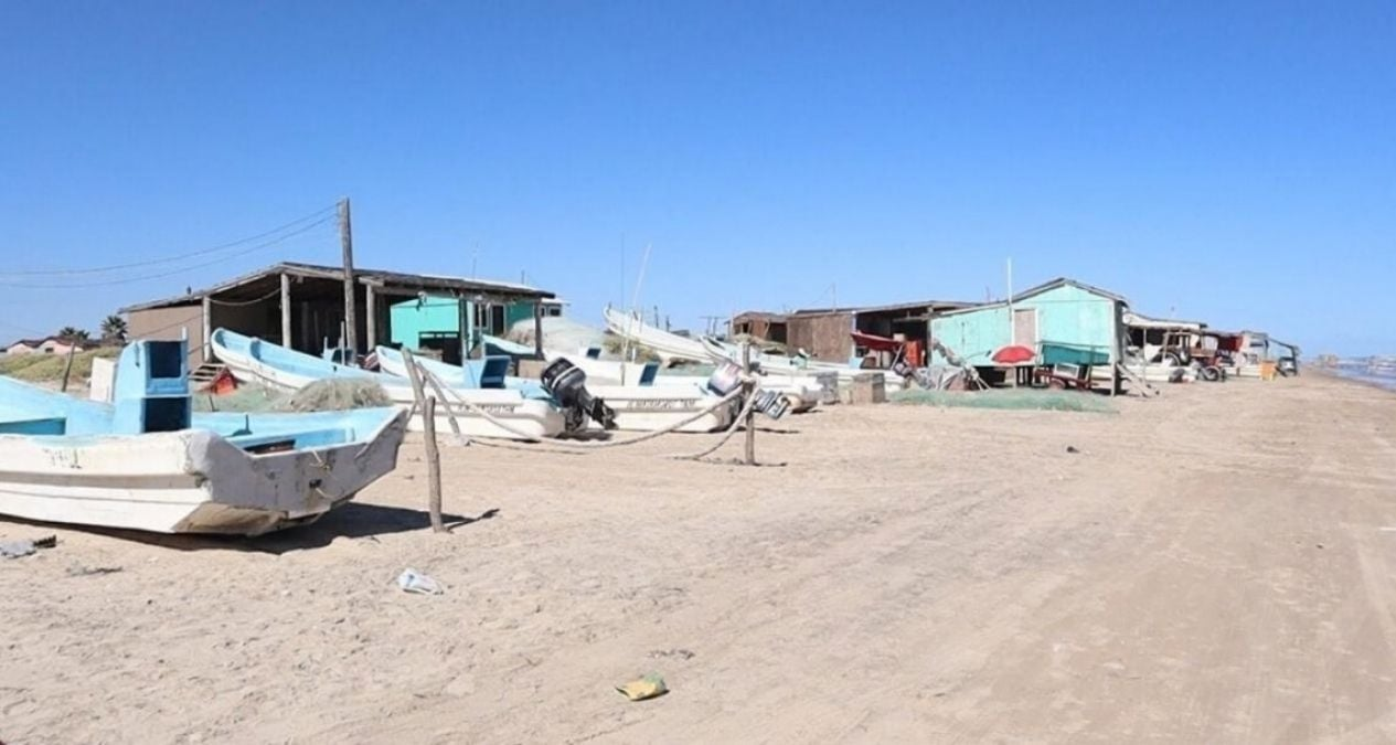 Lluvias podrían favorecer captura de camarón y escama en Matamoros, Tamaulipas